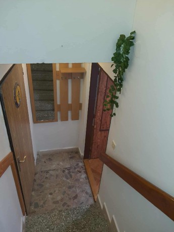 Messenger_creation_7380227893405990522